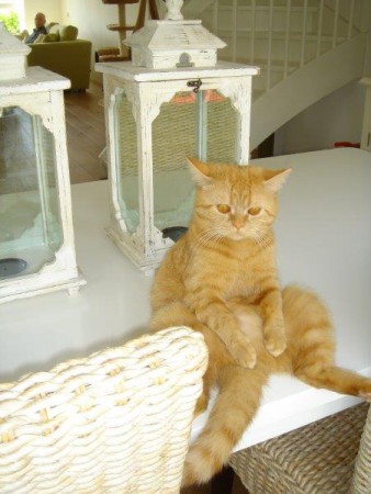 Ja zo zit ik nou eenmaal het fijnst!!!....